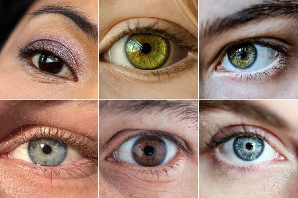 La probabilidad de tener un hijo con ojos verdes » Jardín Infantil